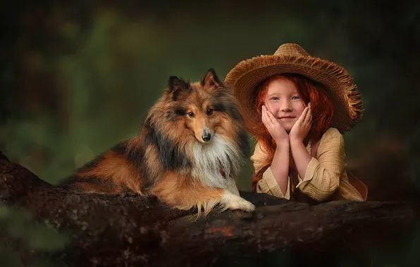 Картинка собака, шляпа, девочка, рыжая, бревно, рыжеволосая, шелти, шетландская овчарка