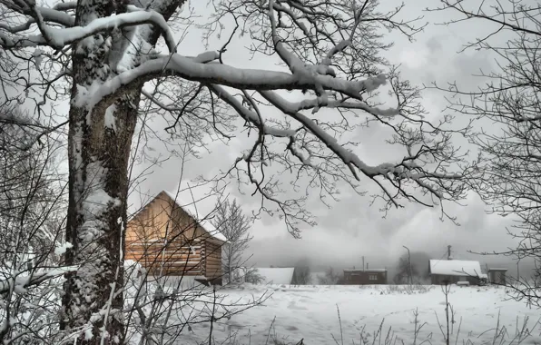 Картинка зима, снег, дерево, ветви, деревня, мороз, домики, Россия