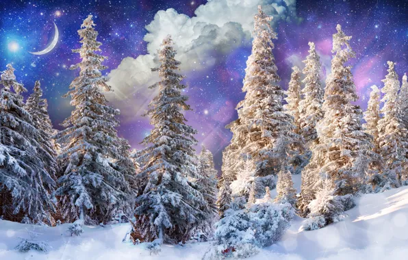 Картинка зима, лес, солнце, звезды, облака, снег, деревья, блики