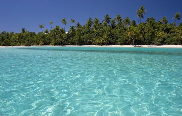 Картинка море, лето, вода, пальмы, остров, красивые обои