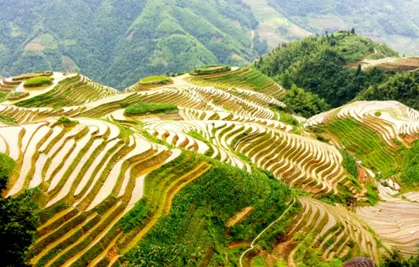 Поля, Китай, террасы, Guilin, Гуанчжоу