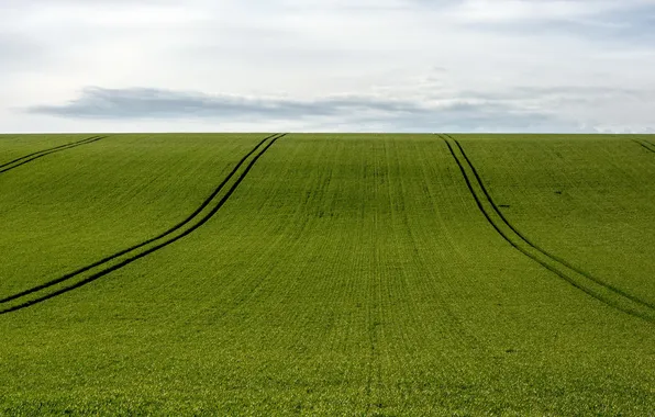 Поле, небо, пейзаж