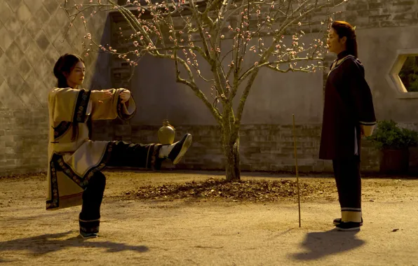 China, cinema, movie, asian, film, martial artist, chinese, oriental