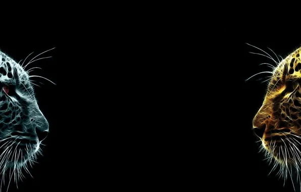 Картинка dual monitor, тёмный фон, Ягуары