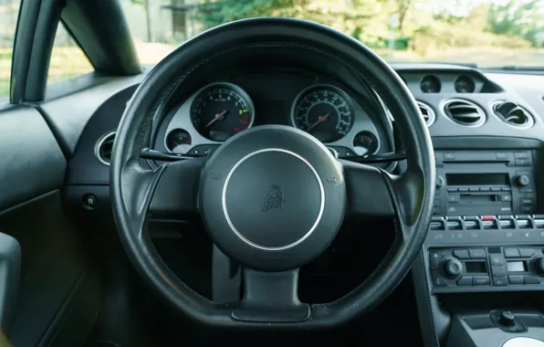 Lamborghini, Gallardo, Lamborghini Gallardo, steering wheel