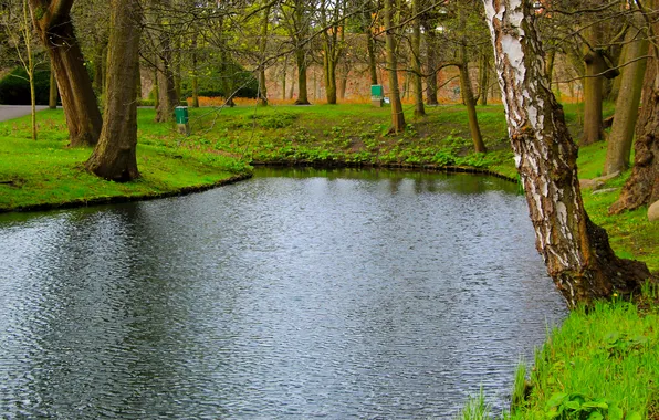 Water, park, lake, pond