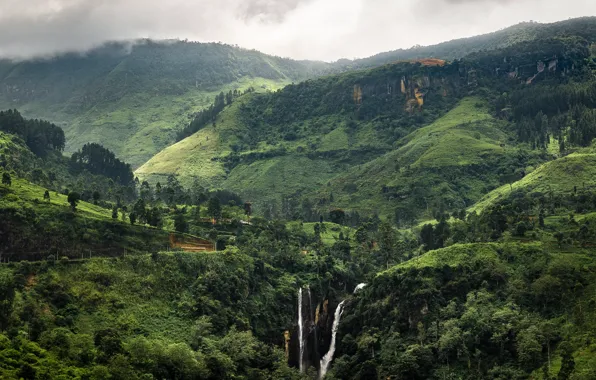 Зелень, пейзаж, тропики, Шри-Ланка