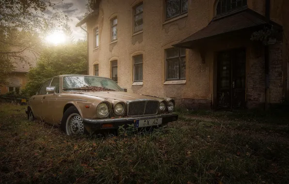 Машина, дом, abandoned jaguar