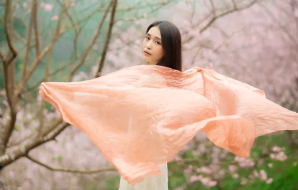 Girl, sexy, girls, woman, model, china, asian, cute