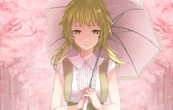 Картинка весна, зонт, аниме, сакура, девочка