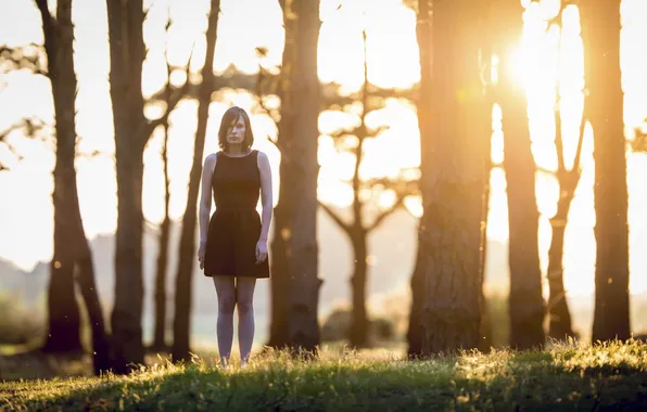 Девушка, деревья, одиночество, солнечный свет