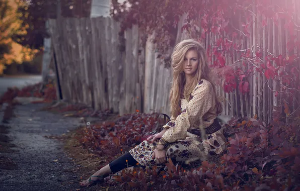 Картинка осень, листья, милая, Девушка, сидит, светловолосая, в платье, у дороги