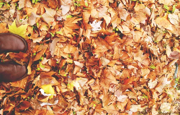 Картинка осень, листья, сапоги, ботинки