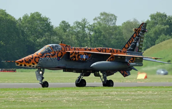 Картинка Jaguar, истребитель, бомбардировщик, аэродром, «Ягуар»