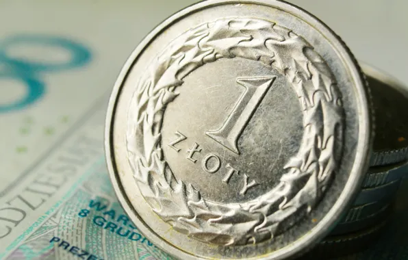 Money, bank, coin, wealth, bank note, złoty