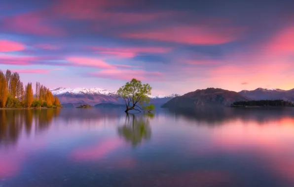 Горы, озеро, дерево, Новая Зеландия, New Zealand, Lake Wanaka, Южные Альпы, Southern Alps