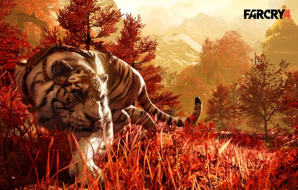Картинка трава, тигр, хищник, tiger, крадется, far cry 4, companion, shangrila