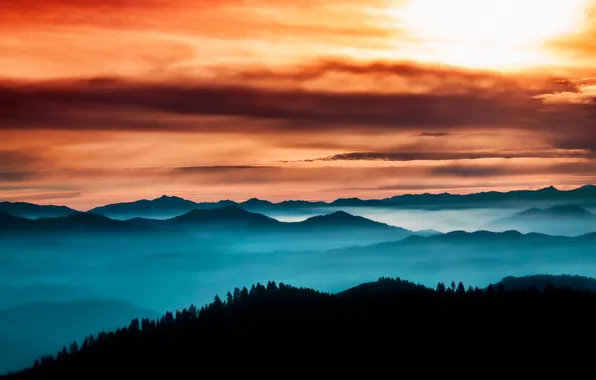 Лес, небо, туман, Thoughful Horizon