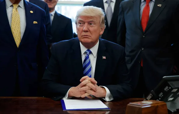 USA, США, Соединённые Штаты Америки, United States of America, Donald Trump, Дональд Трамп, 45-й президент …