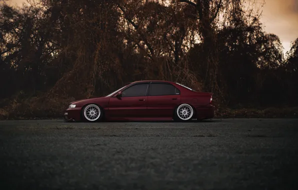 Картинка тюнинг, red, Honda, Accord, красная, хонда, аккорд, stance