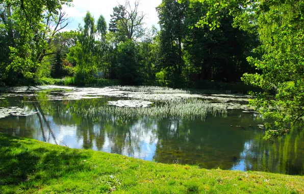Park, lake, pond