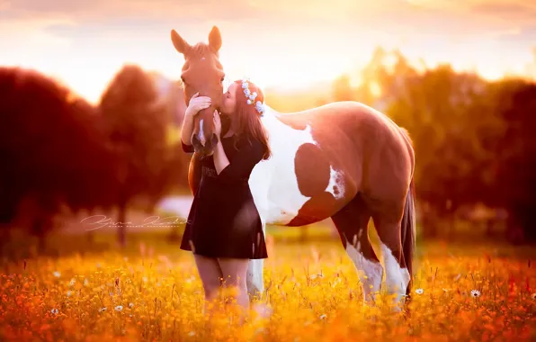 Картинка поле, девушка, конь
