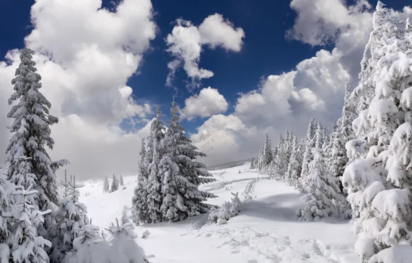 Картинка зима, лес, небо, облака, снег, деревья, пейзаж, горы