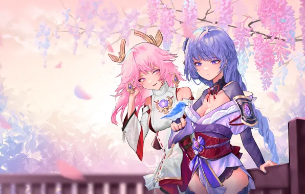 Девушки, глициния, Genshin Impact, Raiden Shogun, Yae Miko