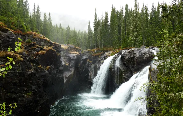 Лес, река, водопад