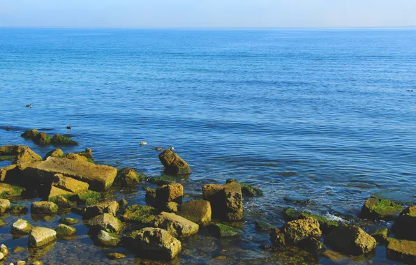 Sea, water, stones