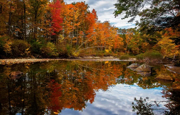 Осень, лес, облака, деревья, река, камни, США, Maine