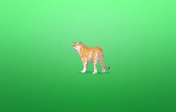 Тигр, животное, минимализм, tiger, зеленоватый фон, хитрая морда