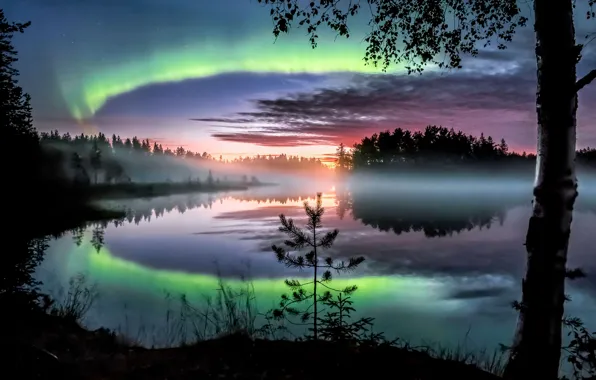 Деревья, Северное сияние, Финляндия, Finland, Northern Lights, Северная Карелия, North Karelia, Nurmes