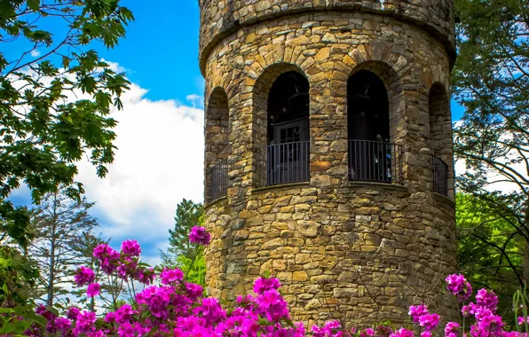 Цветы, Башня, сад, арки, архитектура, flowers, garden, architecture