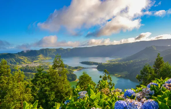 Облака, цветы, озеро, панорама, кратер, Португалия, гортензия, Portugal