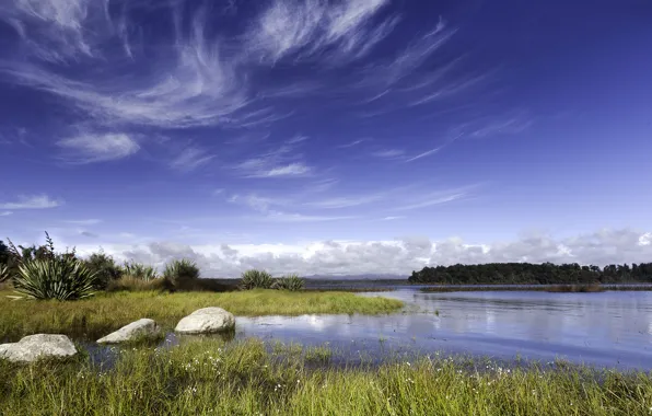 Картинка небо, трава, облака, озеро, камни, Новая Зеландия, кусты, Lake Mahinapua