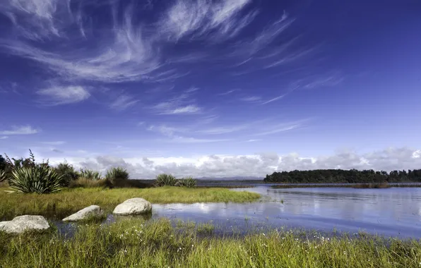 Небо, трава, облака, озеро, камни, Новая Зеландия, кусты, Lake Mahinapua