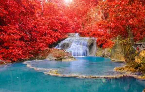 Картинка осень, лес, вода, свет, природа, река, водопад, красиво