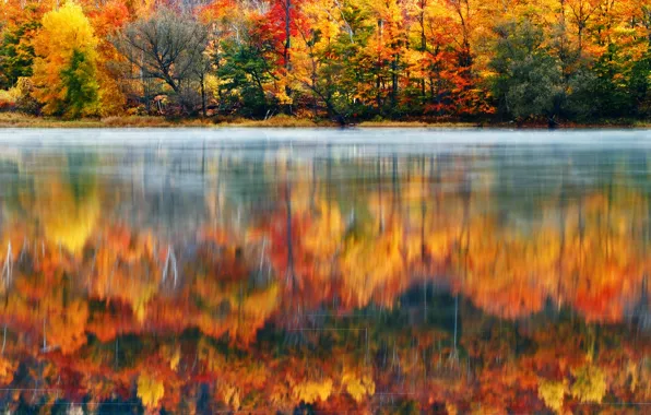 Картинка лес, природа, озеро, краски, утро, США, Новая Англия, Нью-Гэмпшир