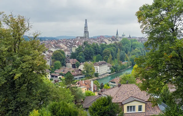 Картинка деревья, река, здания, Швейцария, панорама, Switzerland, Берн, Bern
