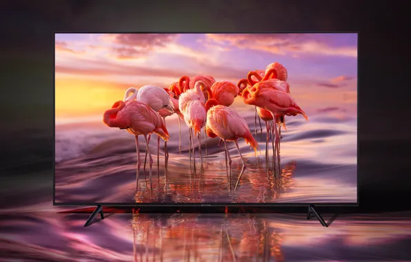 Samsung, television, 8K