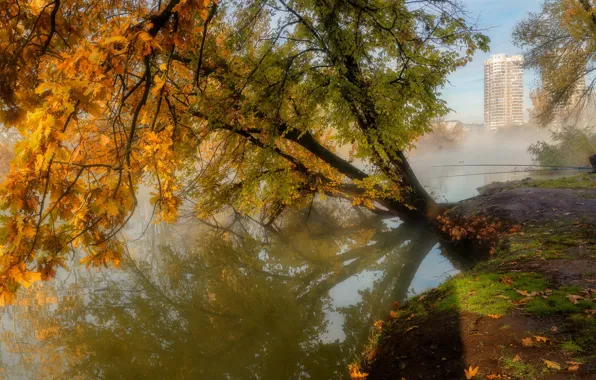 Картинка осень, пейзаж, природа, пруд, дерево, дома, рыбак, Александр Плеханов