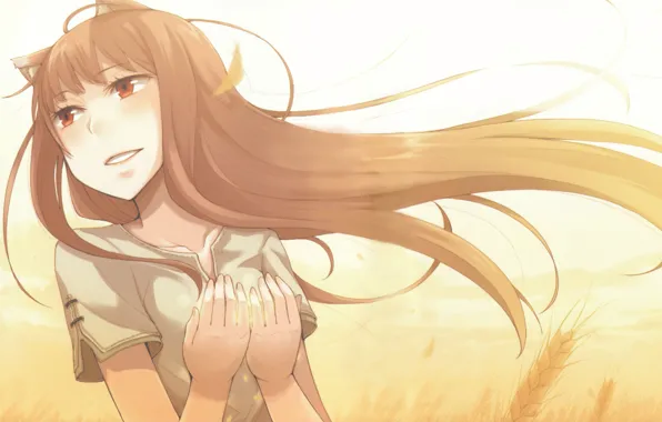 Ветер, руки, колосья, рыжая, ушки, длинные волосы, Spice and Wolf, Волчица и Пряности