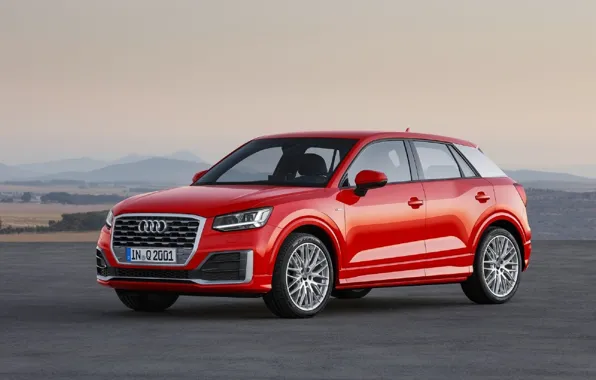 Внедорожник, AUDI