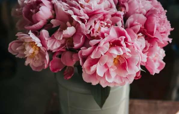 Картинка цветы, букет, flowers, пионы