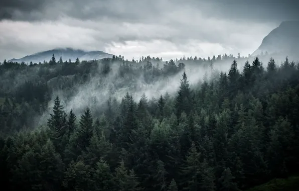 Картинка лес, небо, деревья, горы, тучи, природа, Шотландия, Scotland