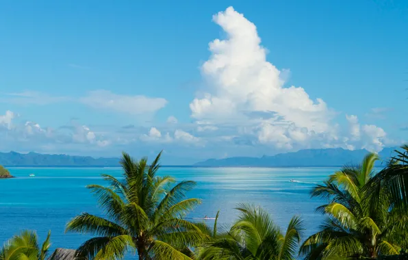 Картинка море, облака, горы, пальмы, Тихий океан, Французская Полинезия, остров Таити