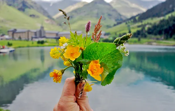Картинка цветы, горы, озеро, букет, весна