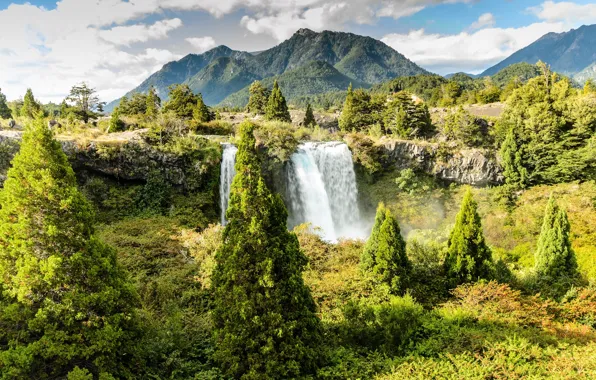 Картинка деревья, горы, Чили, Chile, Truful-Truful waterfall, Национальный парк Конгильо, Conguillio National Park, Труфуль-Труфуль водопад