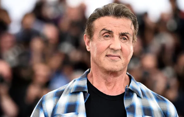 Взгляд, поза, актёр, Сильвестр Сталлоне, режиссёр, Sylvester Stallone, продюсер, сценарист
